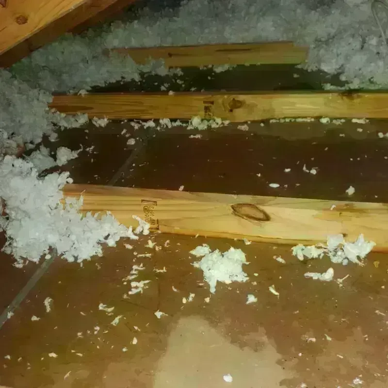 Attic Water Damage in Milton, NY